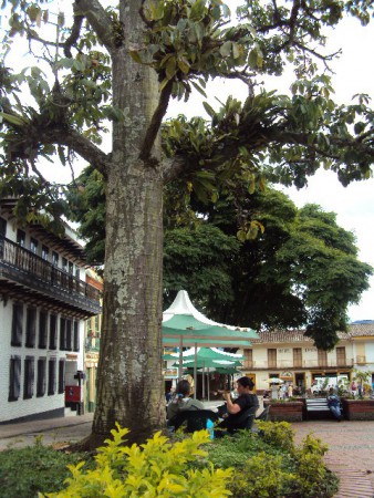 Jericó